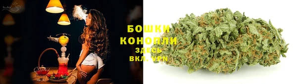 бошки Алексин