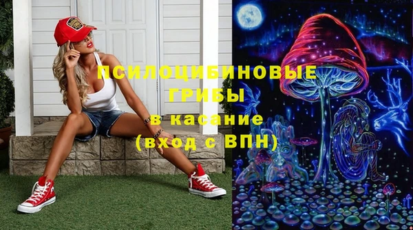 круглые Алексеевка