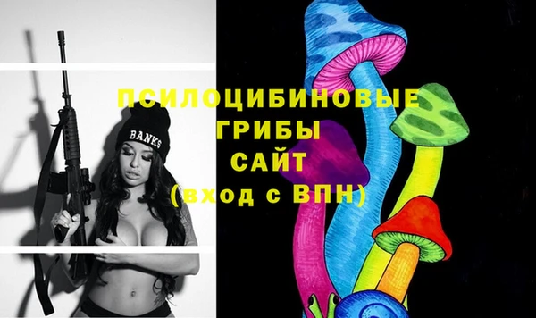 круглые Алексеевка