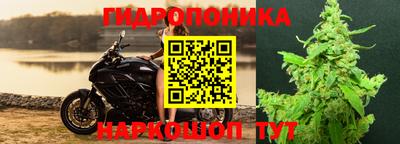 бутират Гусь-Хрустальный