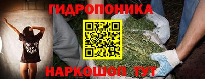 сатива Бузулук