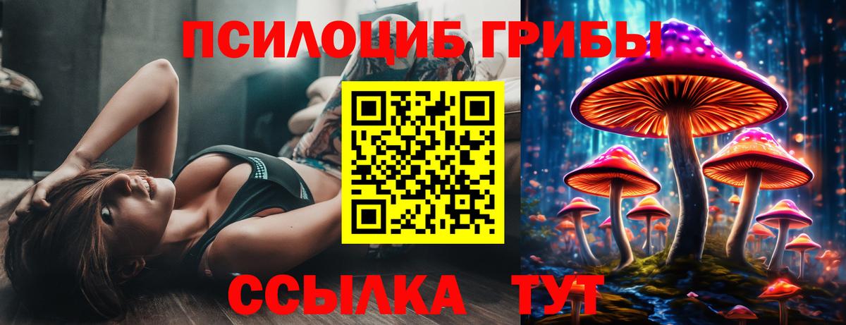 Псилоцибиновые грибы Psilocybe  где купить наркоту  Лобня  Вход с VPN 