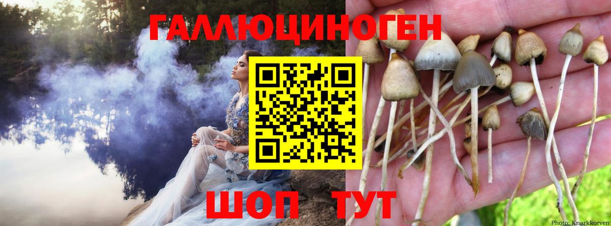 Галлюциногенные грибы MAGIC MUSHROOMS Лобня