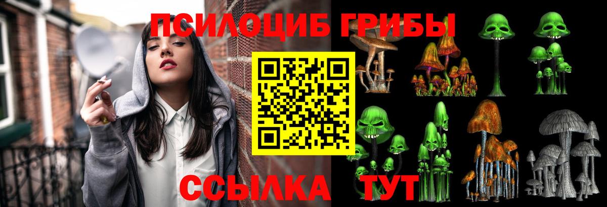 Псилоцибиновые грибы MAGIC MUSHROOMS  дарнет шоп  Лобня 