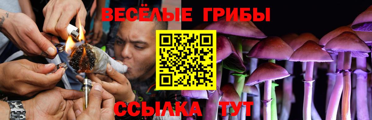 Галлюциногенные грибы прущие грибы Лобня